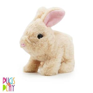 Cookie Jumping Rabbit – Pugs At Play Cookie Jumping Rabbit Pugs At Play Early Education