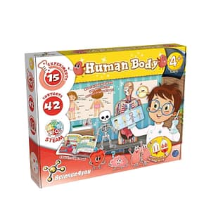 Human Body – Science4you Human Body Science4you Early Education