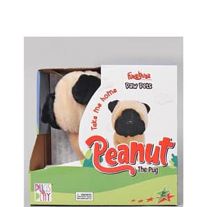 Peanut The Pug Walking Dog – Pugs At Play Peanut The Pug Walking Dog Pugs At Play Early Education