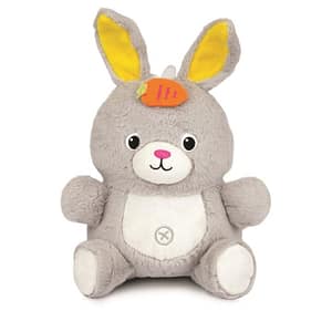 Play-With-Me Dance Pal – Bunny – Winfun Play-With-Me Dance Pal - Bunny Winfun Early Education