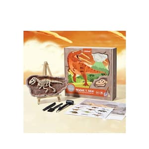 Revive A T-Rex – Dig A Dinosaur Kit – Mideer Revive A T-Rex - Dig A Dinosaur Kit Mideer STEM