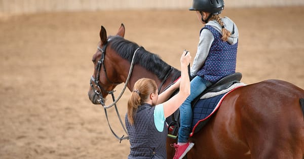 45-Minute Horse Riding Lessons At Al Sultan Equestrian Club Abu Dhabi