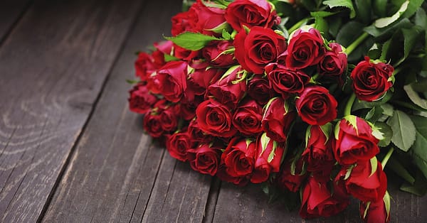 50 To 200 Roses And Card Dubai
