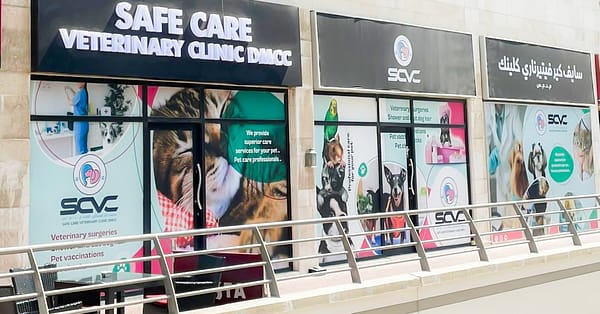 Cat And Dog Check Up And Vaccinations Dubai