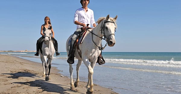 One Hour Beach Horse Riding Experiences At Al Sultan Equestrian Club Abu Dhabi