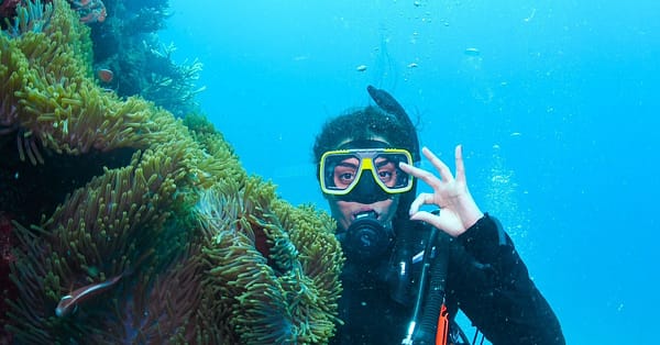 Open Water Scuba Diver Course At Goblin Diving Center Dubai
