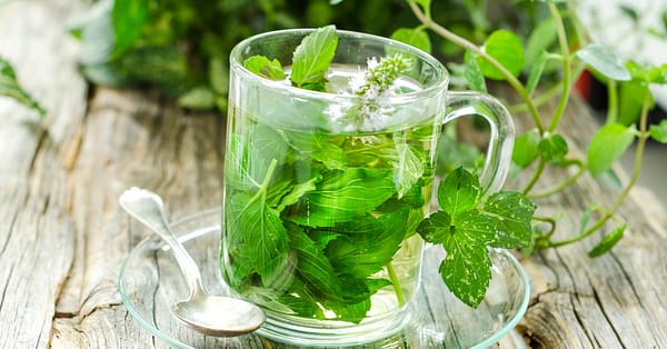 Unlock The Secrets Of Herbs With Master Herbalist Course National Deal