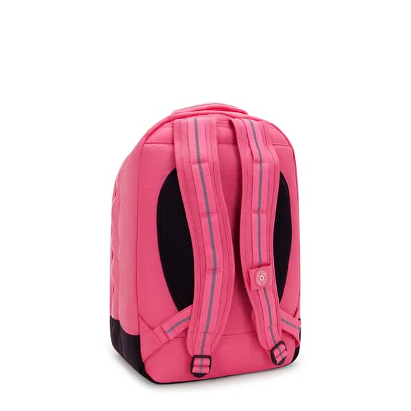 KIPLING Large backpack (with laptop protection) Female Happy Pink C Class Room  -  I4053-BZ8 Kipling