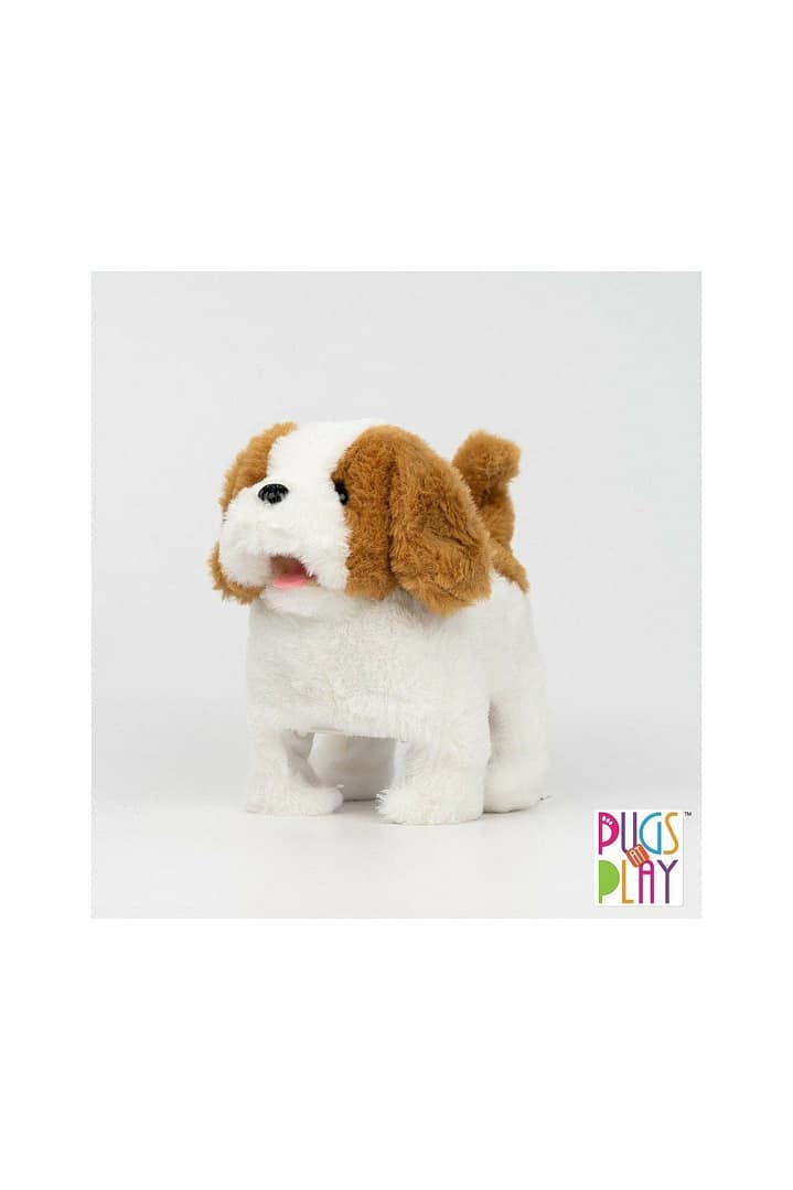 Lola Flipping Dog – Pugs At Play Lola Flipping Dog Pugs At Play Early Education