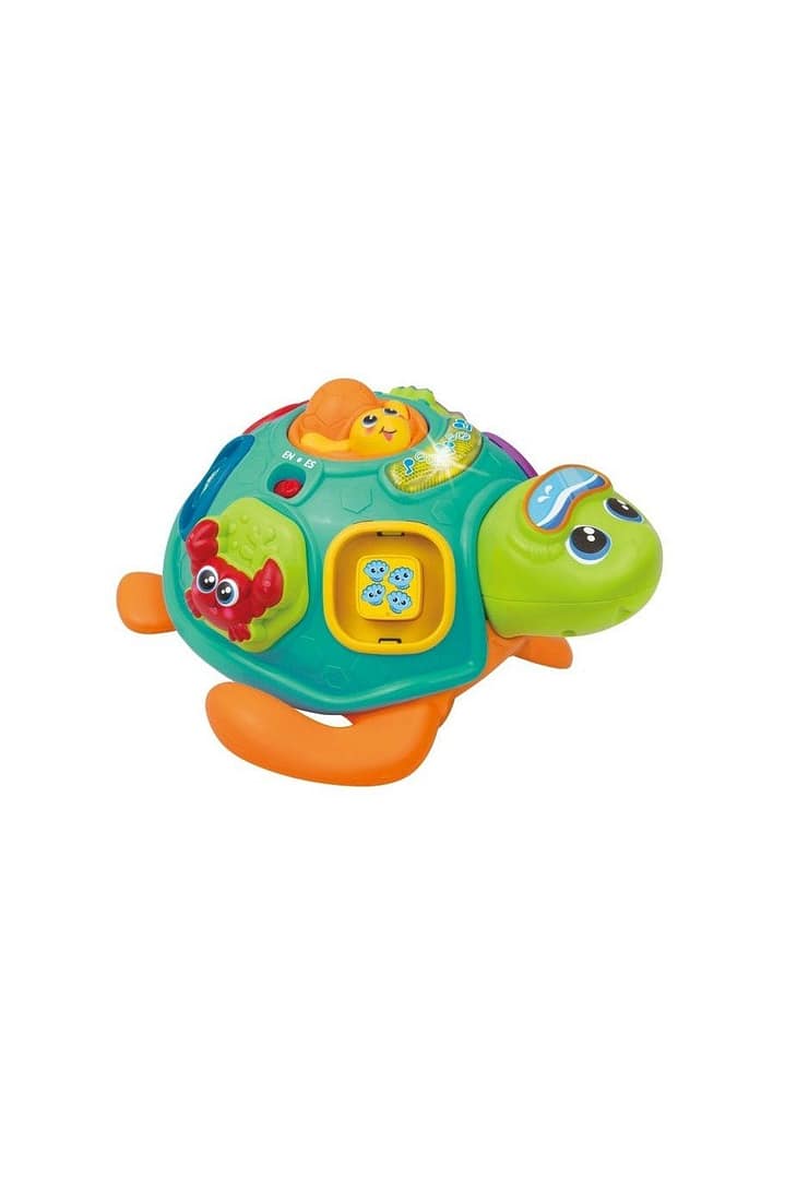 Pull Along Sort 'N Learn Turtle – Winfun Pull Along Sort 'N Learn Turtle Winfun Early Education